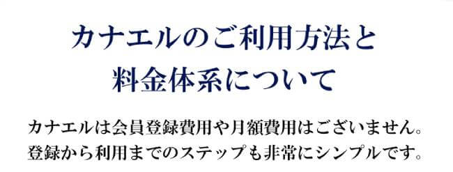 カナエルプロジェクト料金