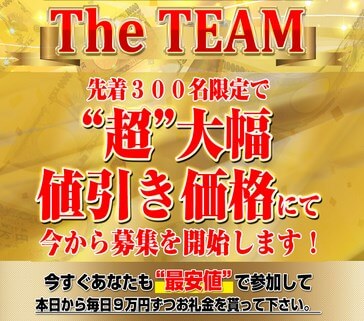 THE TEAM(ザ・チーム)の価格