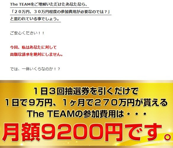 THE TEAM(ザ・チーム)の価格