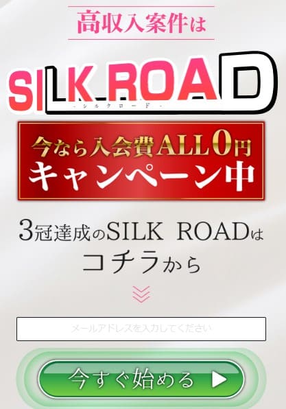 SILK ROAD(シルクロード)は副業詐欺？毎月30万円は稼げない？実態を暴露！