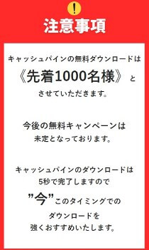 キャッシュパインは副業詐欺か調査！