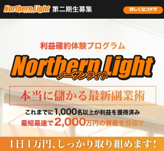 ノーザンライト(Northern Light)は副業詐欺か調査！