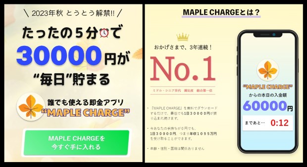 MAPLE CHARGE(メイプルチャージ)の内容について