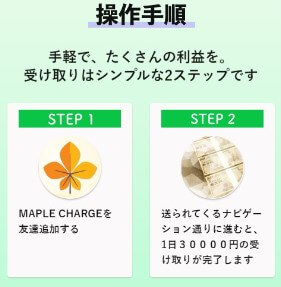 MAPLE CHARGE(メイプルチャージ)の内容について