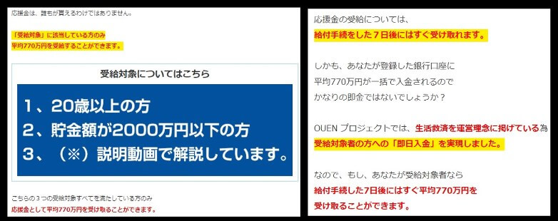 応援プロジェクトの内容について