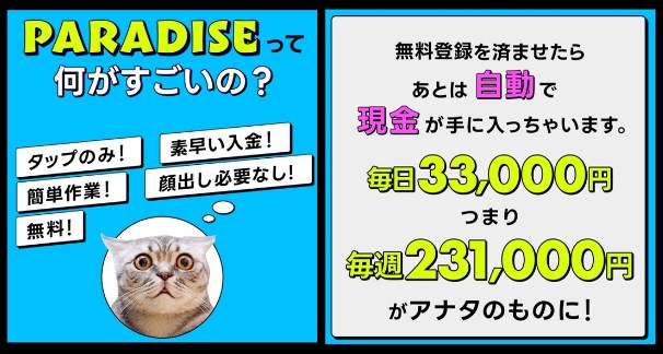 PARADISE(パラダイス)の内容について